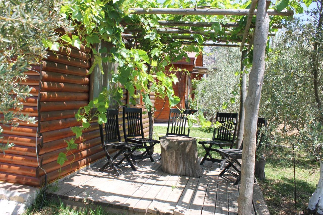 Bed and Breakfast Sakin Vadi Winehouse Orhaniye  Exterior foto