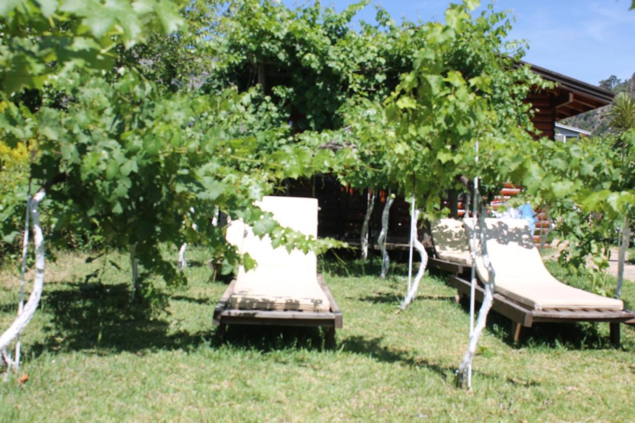 Bed and Breakfast Sakin Vadi Winehouse Orhaniye  Exterior foto