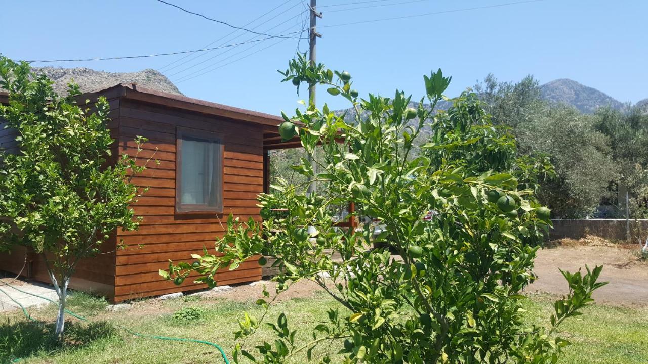 Bed and Breakfast Sakin Vadi Winehouse Orhaniye  Exterior foto