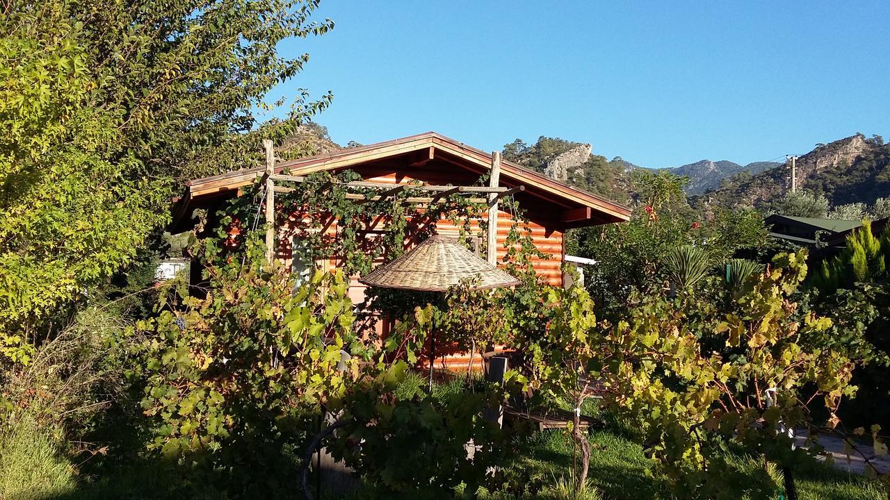 Bed and Breakfast Sakin Vadi Winehouse Orhaniye  Exterior foto